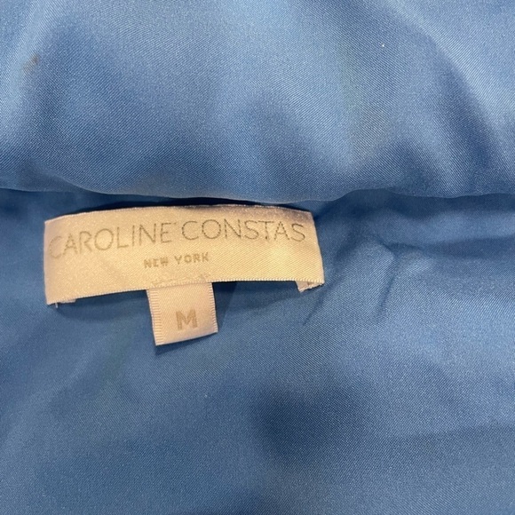 Caroline Constas Silk Top Med Softgirl Nadine Ruffle Floral Tank Print Blue - Picture 7 of 13